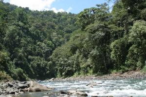 Turrialba en Costa Rica. Imagen sacada de la web www.tripadvisor.es